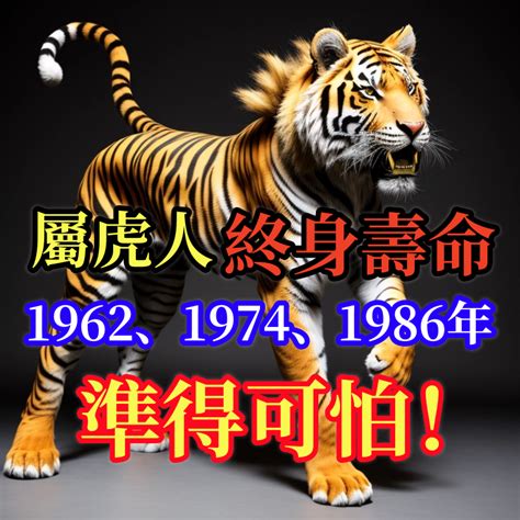 1986 屬虎|屬虎人的畢生宿命，86年的你家有嗎？特別准！